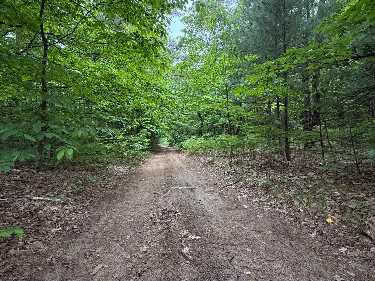 Island Lake North Trail trail photo