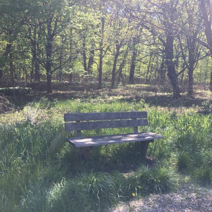 Near Morton Arboretum Loop