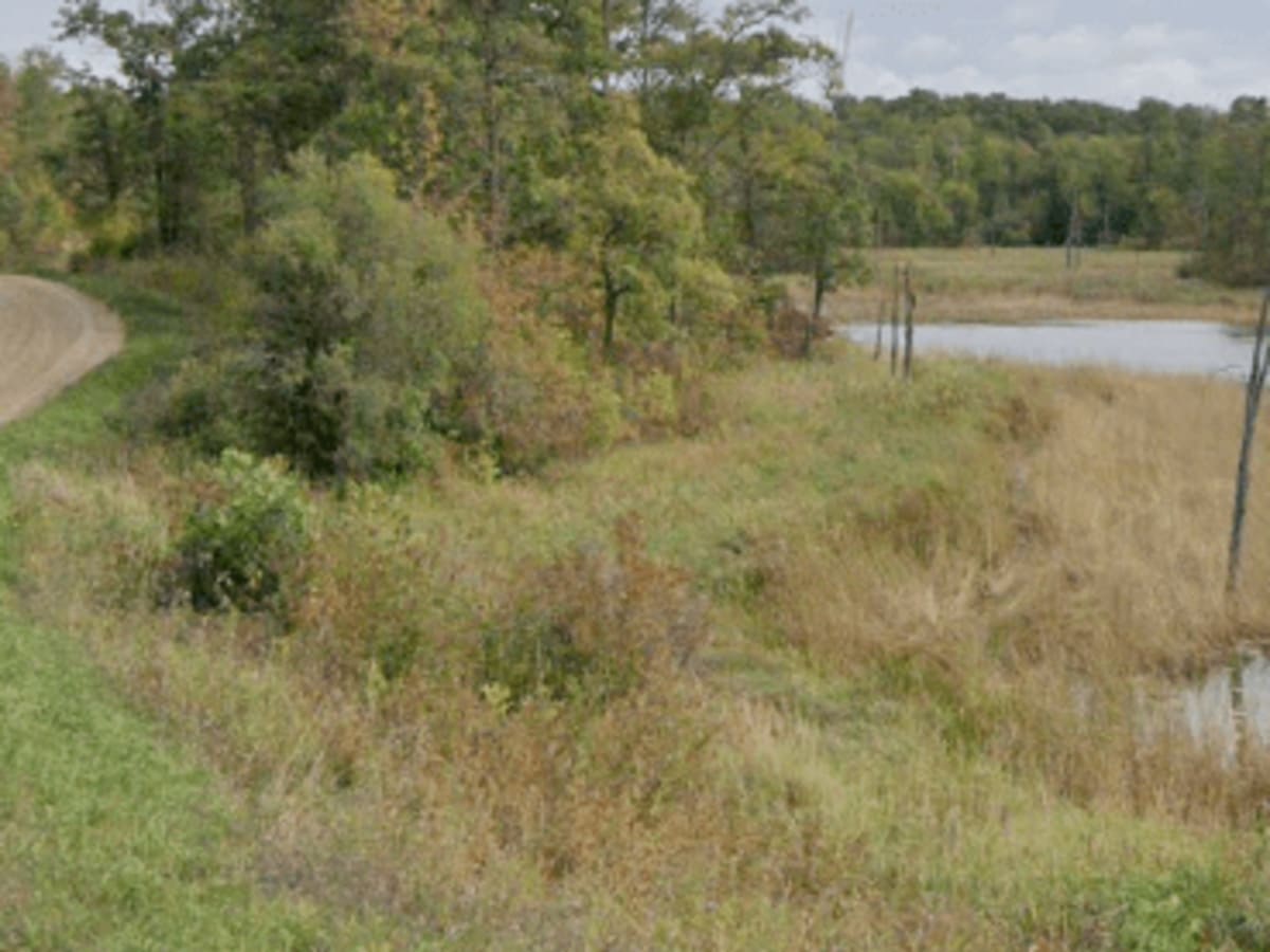 New Horizons - Gravel trail photo