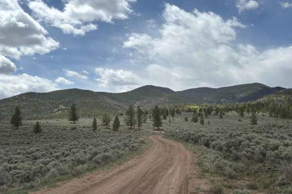 Clover Creek Road