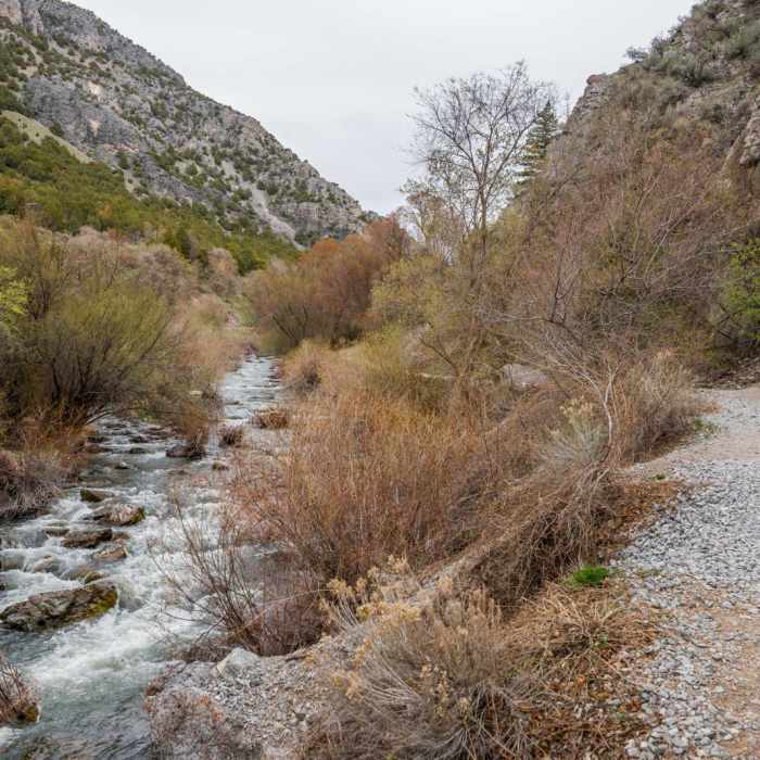 Near Logan River Trail