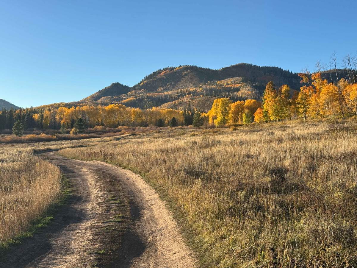 Deep Creek Road trail photo