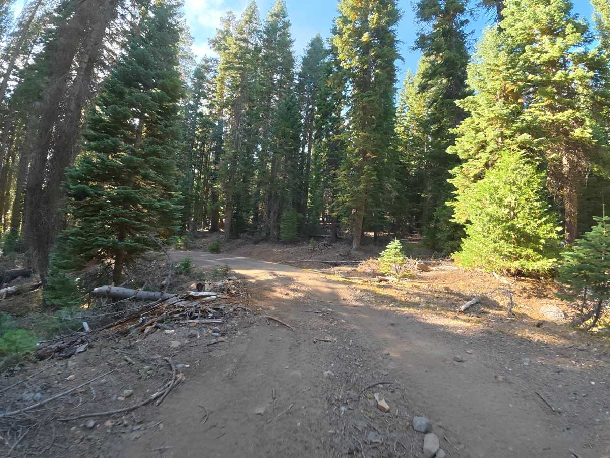 Big Rattlesnake Creek photo 6