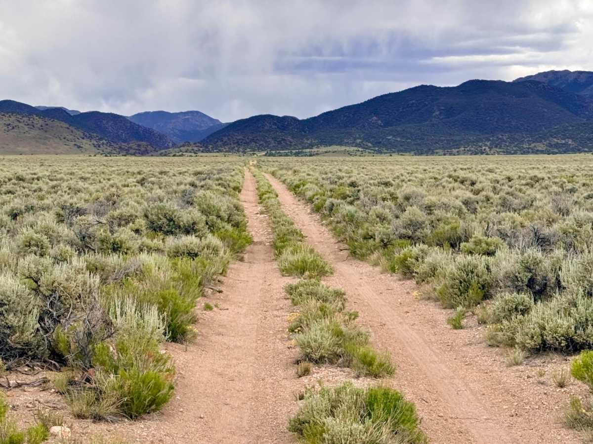 House Canyon Cutoff Road trail photo