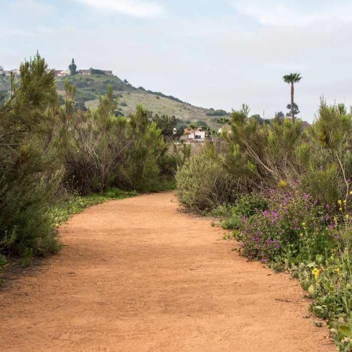 Near South Fortuna Mountain