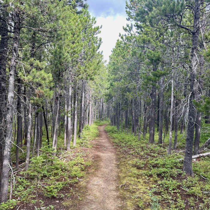 Near Continental Divide Trail: Montana-Idaho Section 26