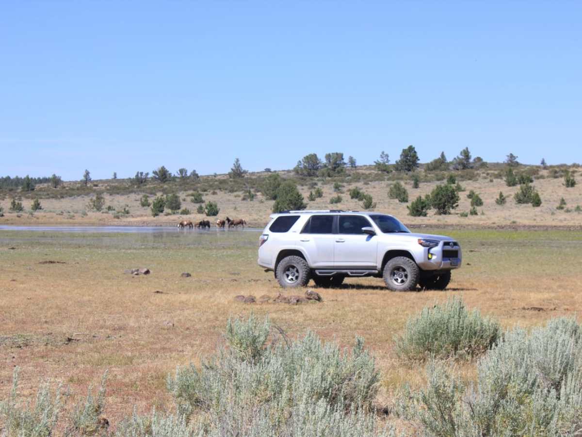 Steens Loop photo 5