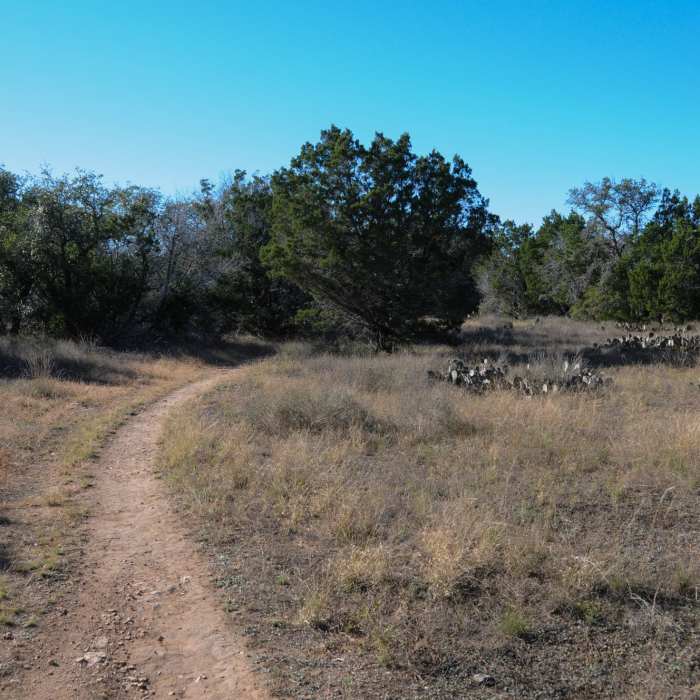 Near Pancho