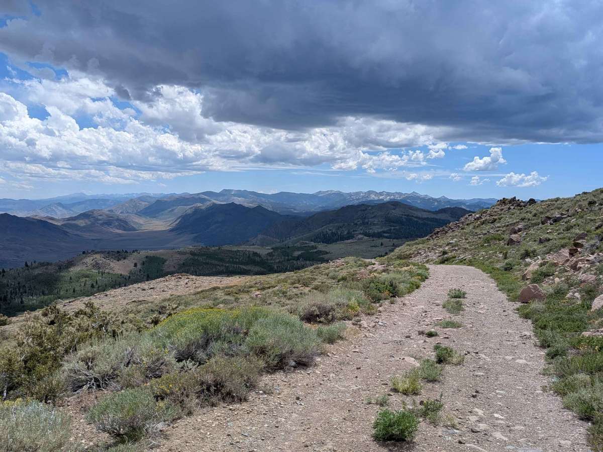 Leviathan Lookout - FS 31057 trail photo