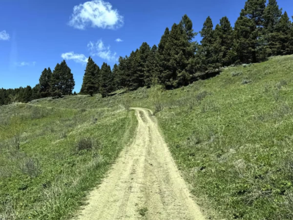 Pete Creek Trail photo 6