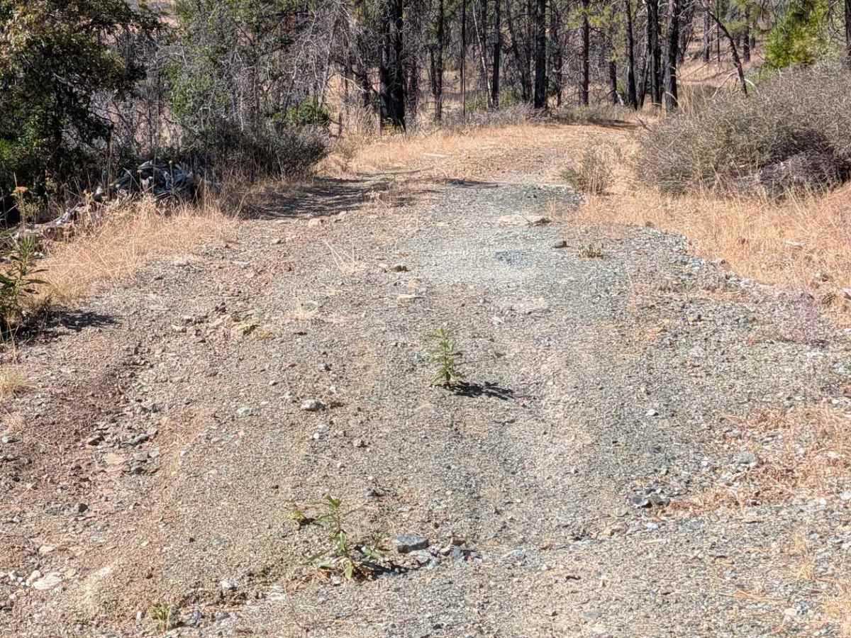 Panther Ridge Road - FS 29N33 photo 5