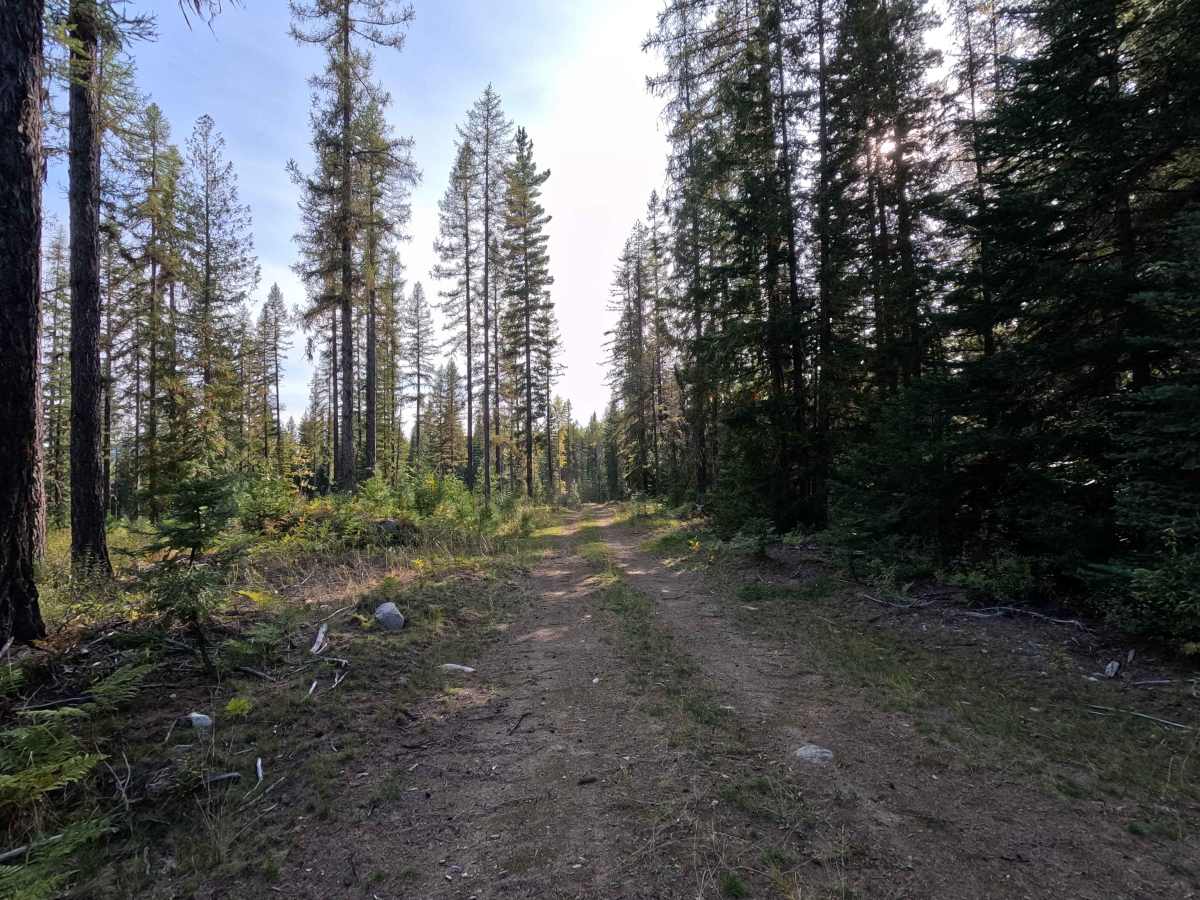 FS 3140480 photo 6
