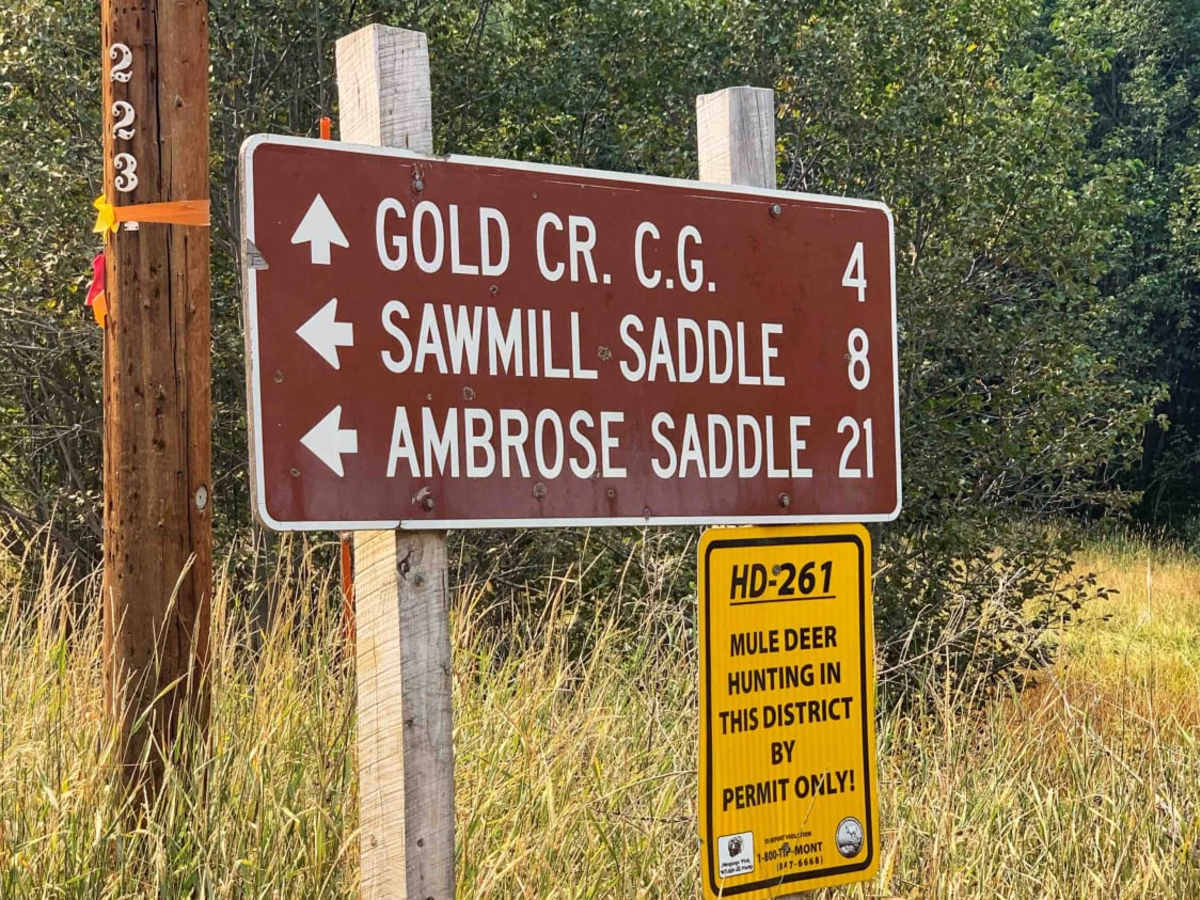 Sawmill Saddle photo 2