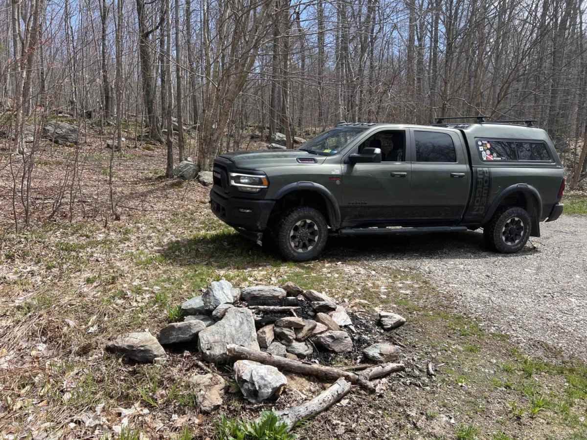 Patterson Brook Road Fire Service 50 trail photo