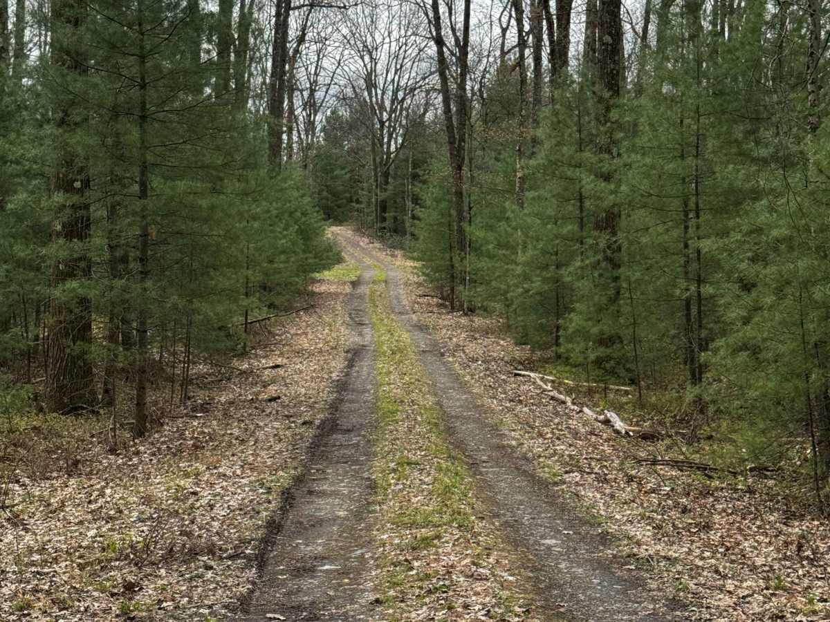 Hendricks Trail photo 3
