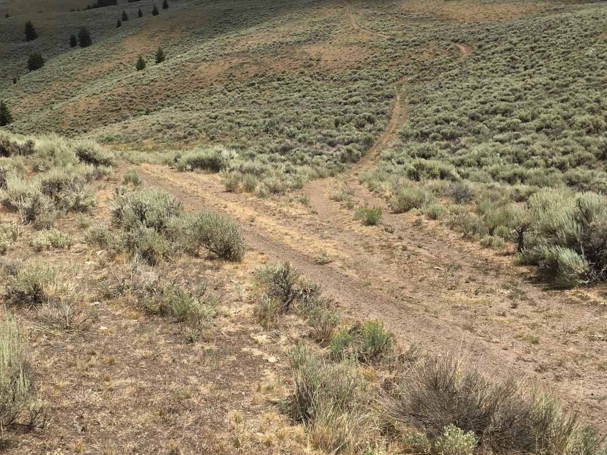 Agency - Yearian ATV Connector photo 5