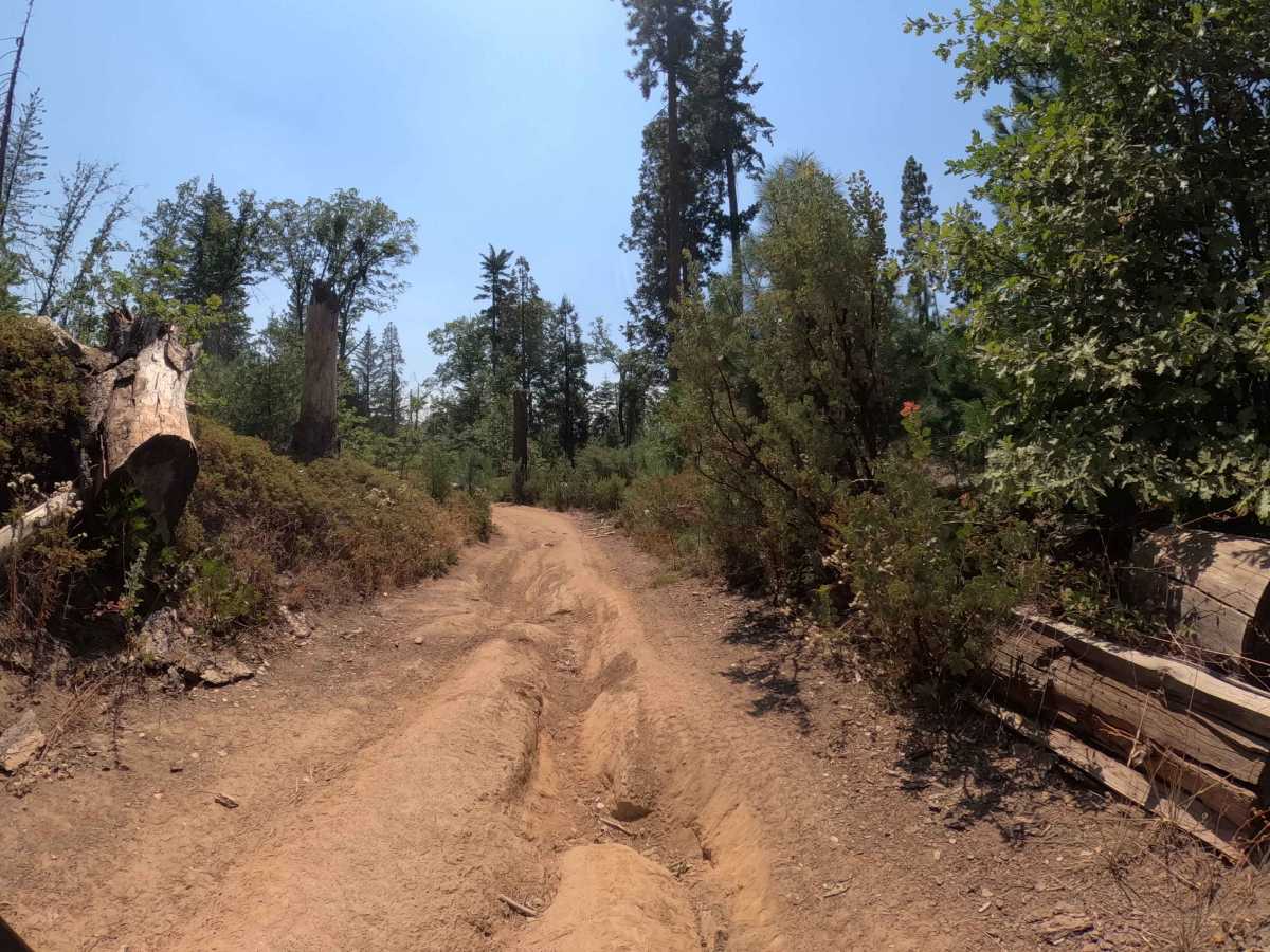 Pilot Peak - Upper - FS 5S012 trail photo