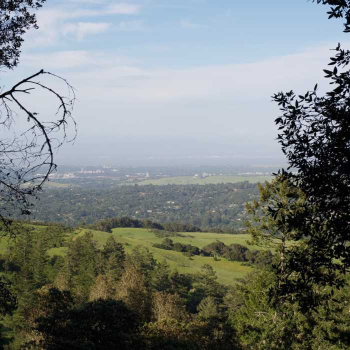 Near Lost Trail