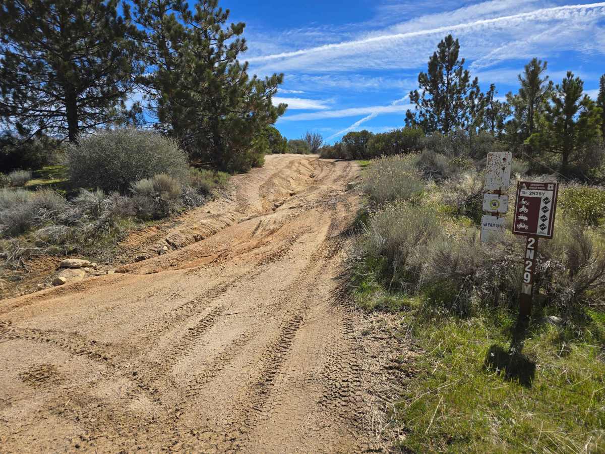 Plantation OHV Road - 2N29Y trail photo