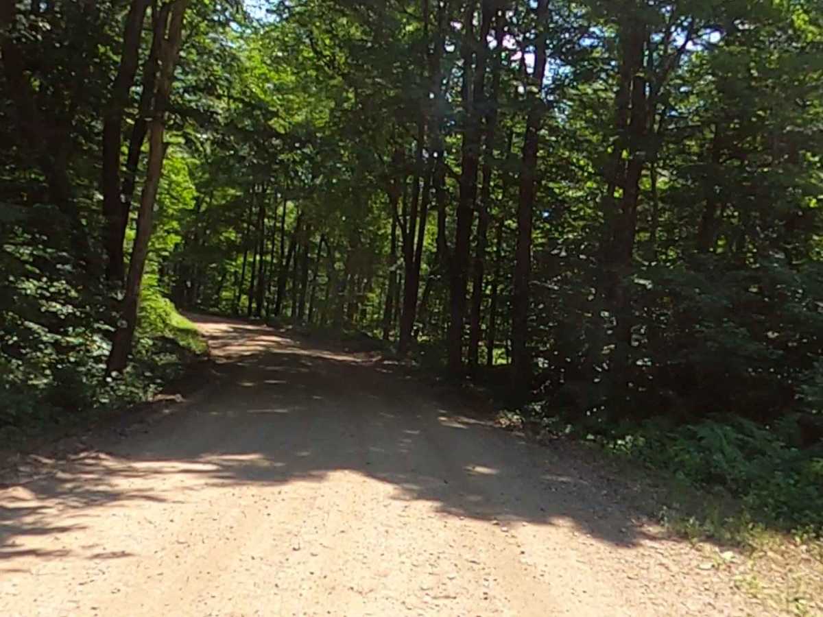 Goose Pond Road photo 4