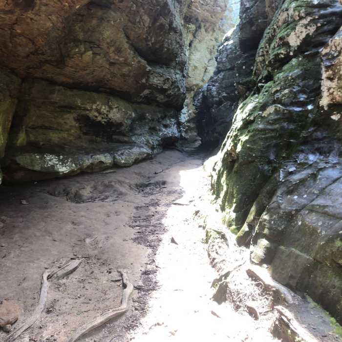 Canyon Near Bear Cave Trail