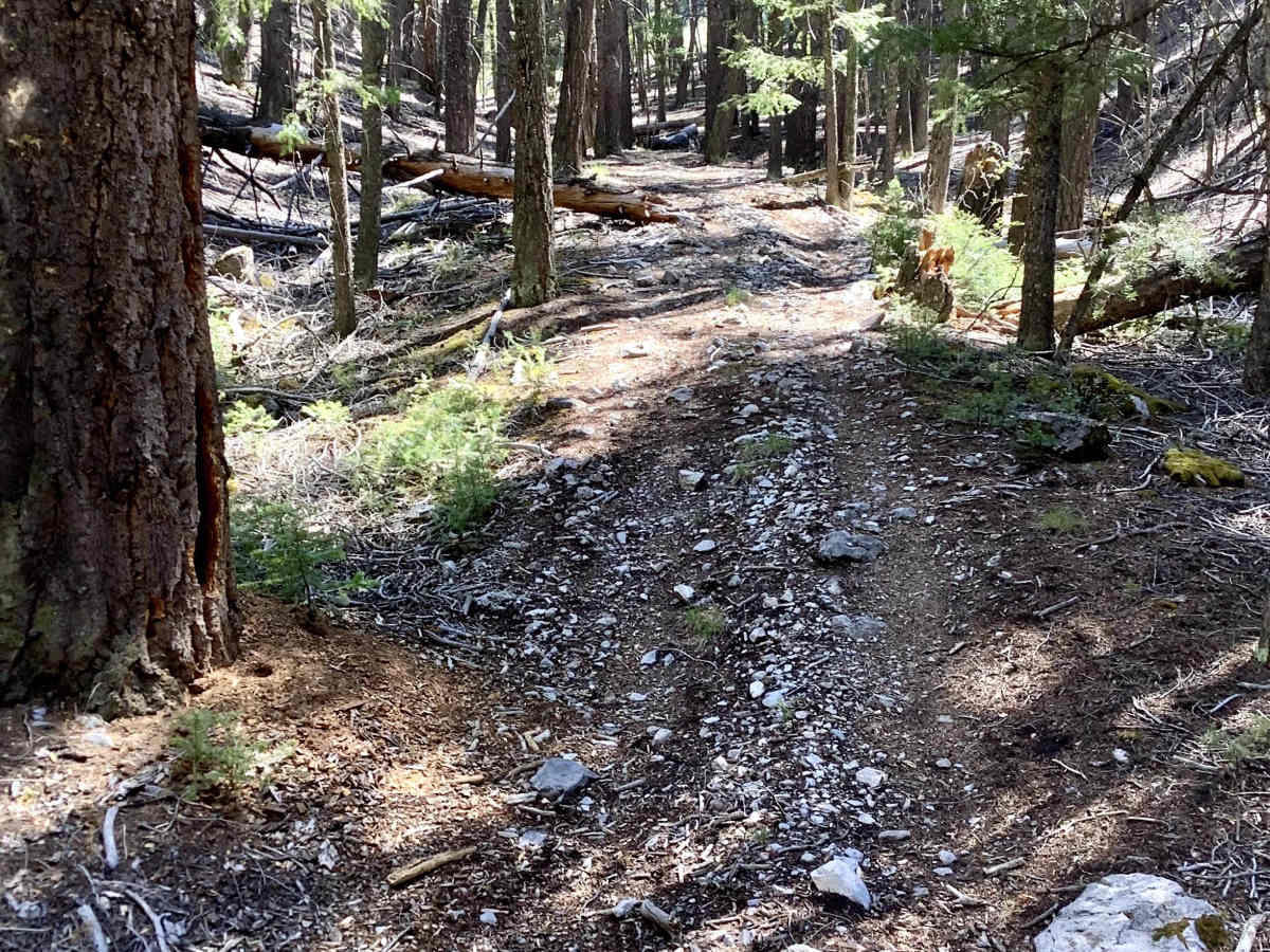 Mikes Trail photo 4
