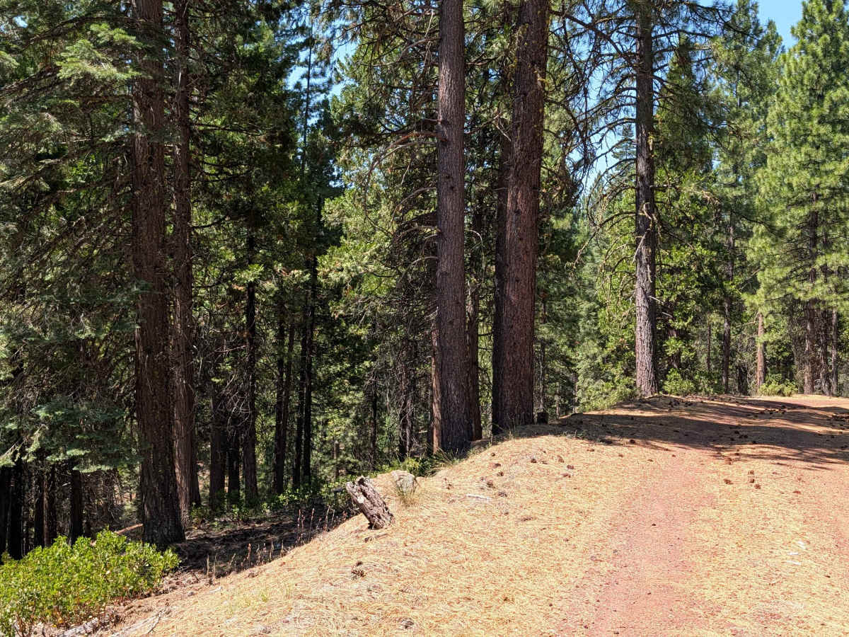 Porcupine - FS 42N46 trail photo