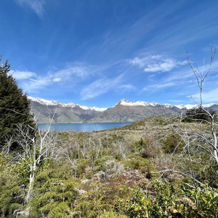 Near Lake Dispute Track Near Lake Dispute Track