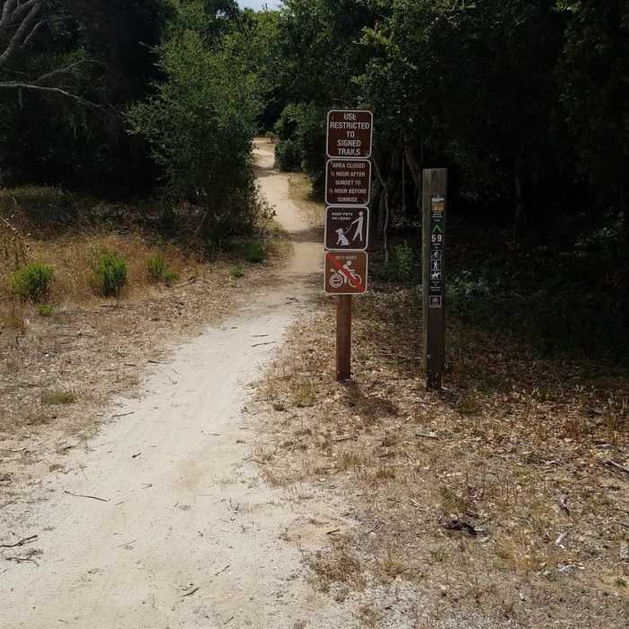 Near Trail 59