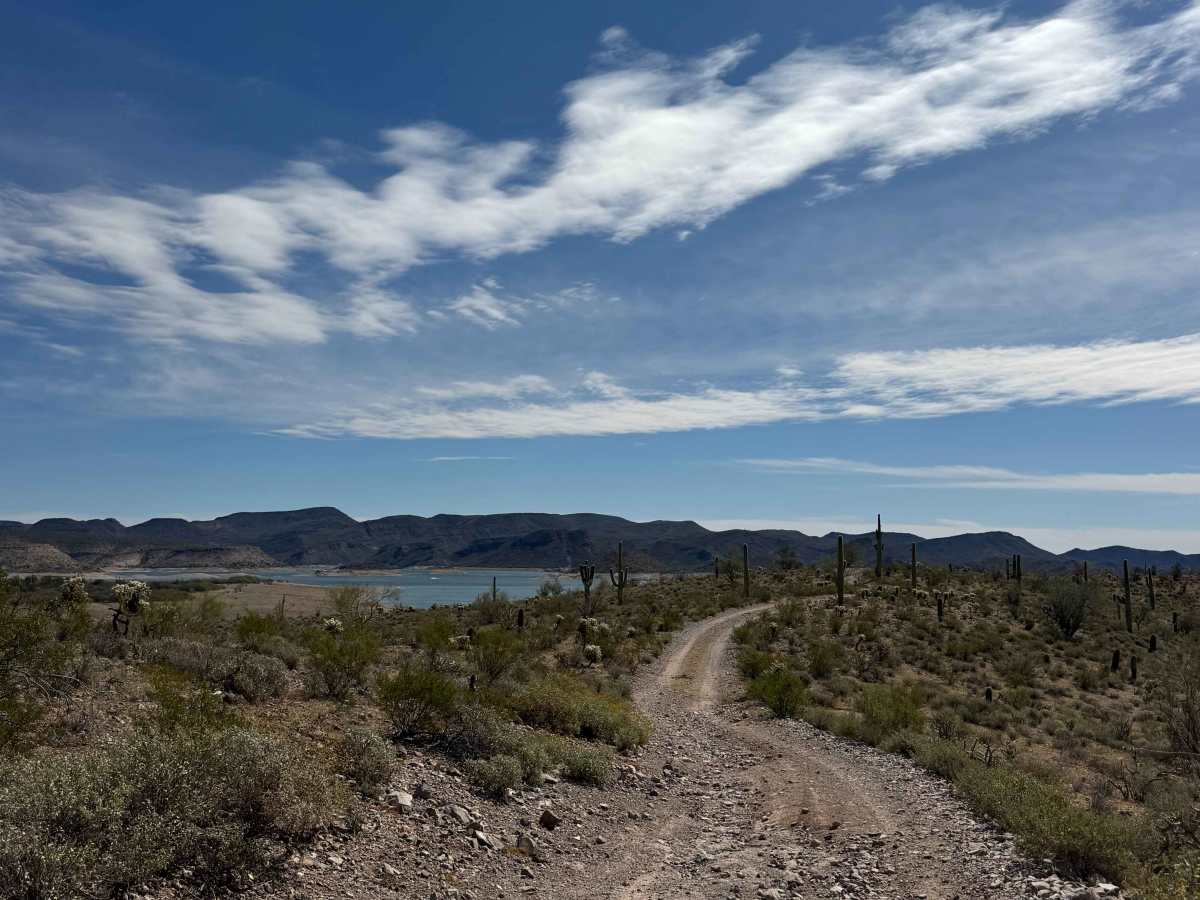 HeeHaw Trail photo 2