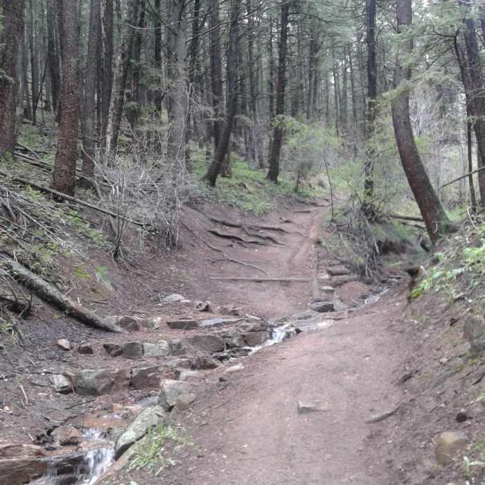 Near Enchanted Forest