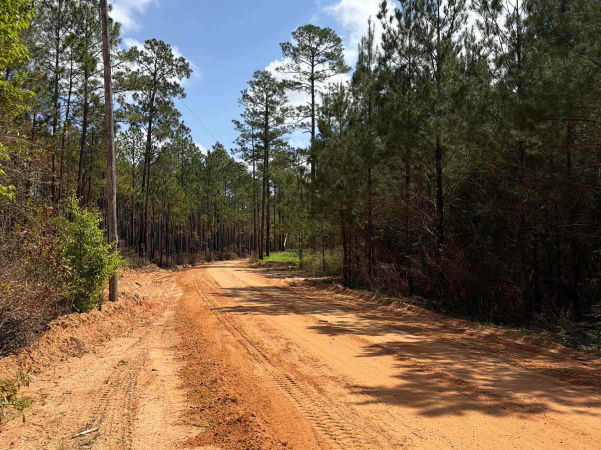 Overstreet Road photo 6