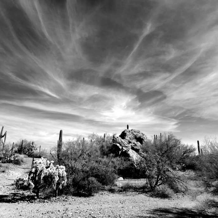 Near Gila Monster to Thunderbird
