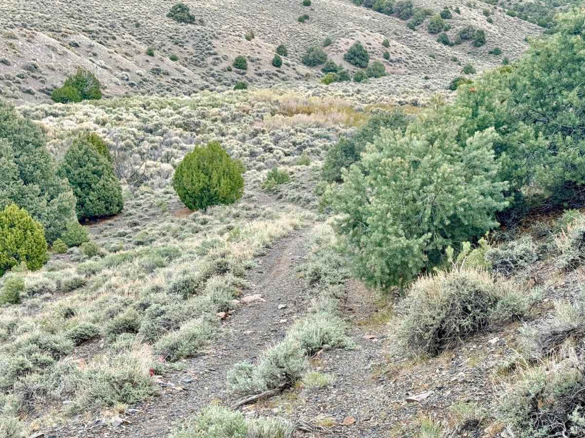 Clipper Gap Canyon - FS 43286 photo 6