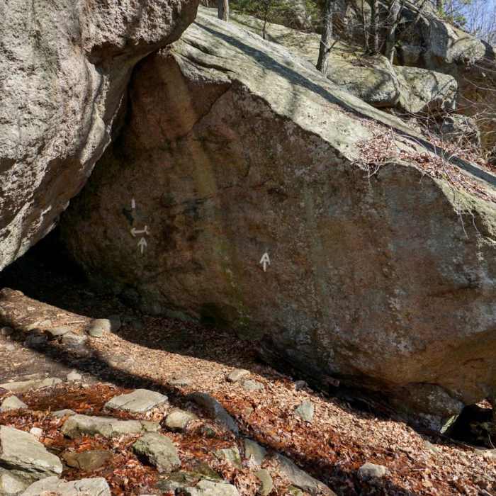 Near Lemon Squeezer + Lichen Trail