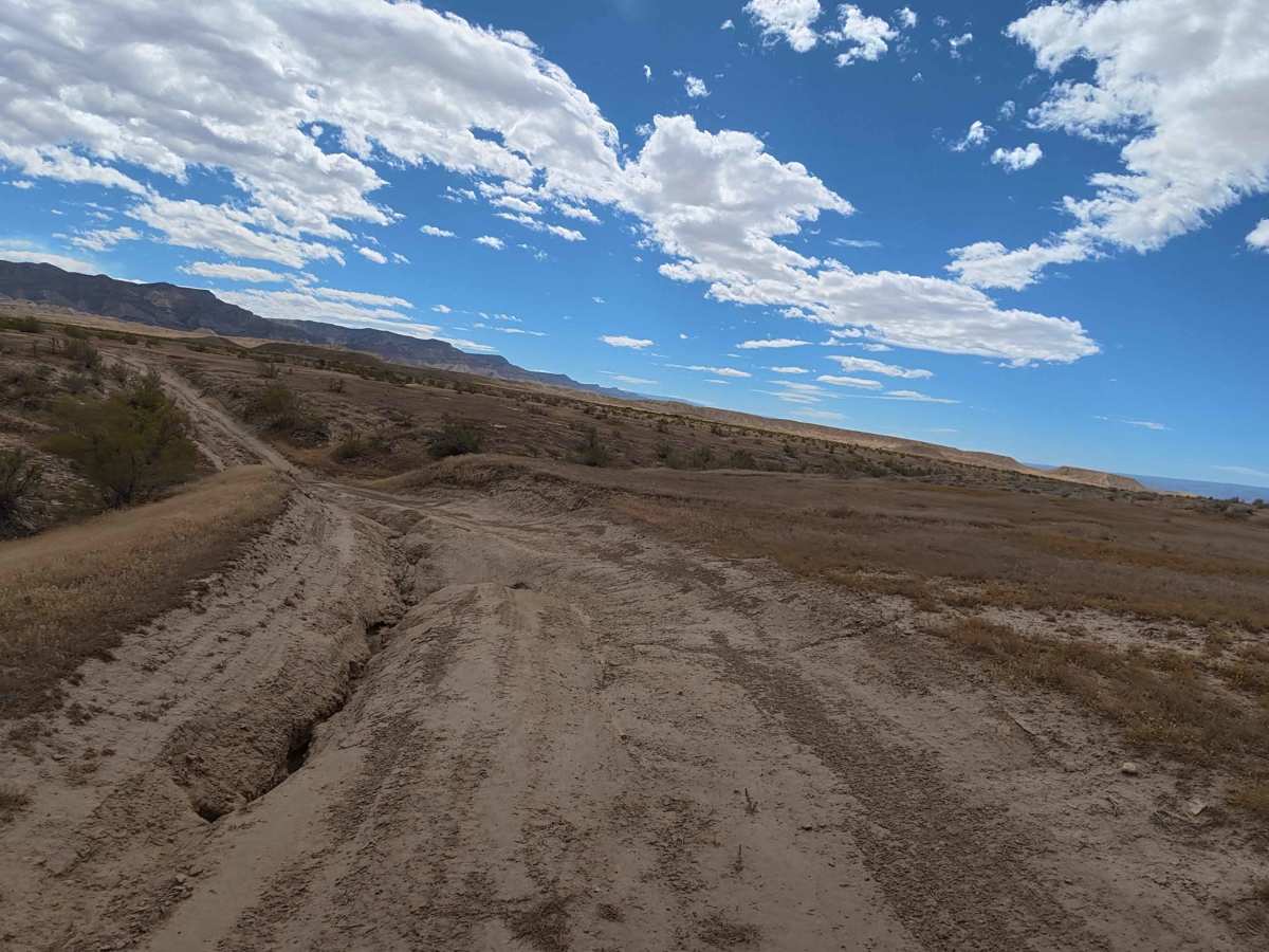 BLM 210 photo 2