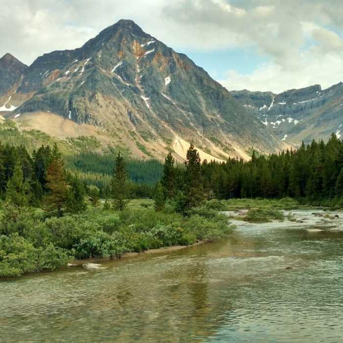 Near Great Divide Trail - Section E (Saskatchewan Crossing to Jasper)
