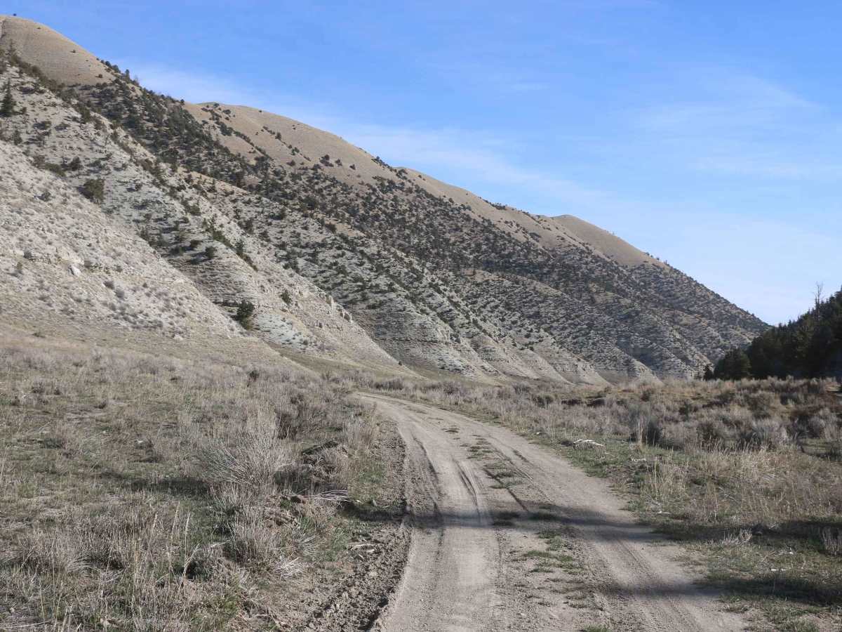Lake Canyon Road - 10700S photo 3