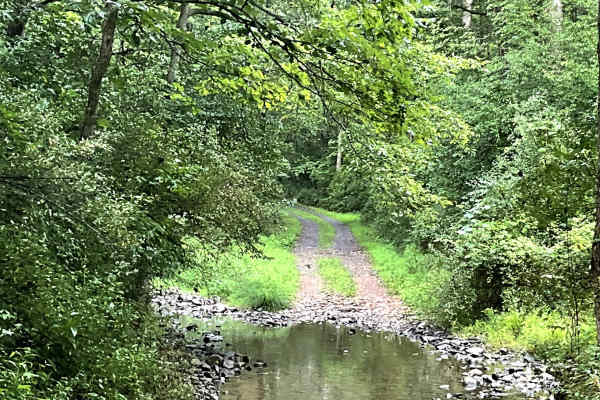 Needle Lane