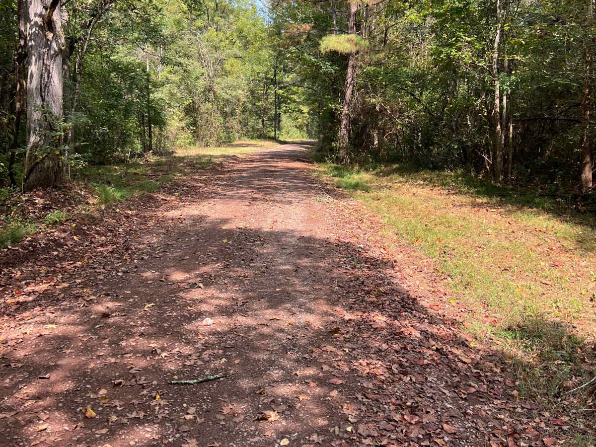 Shaw Branch Road photo 2