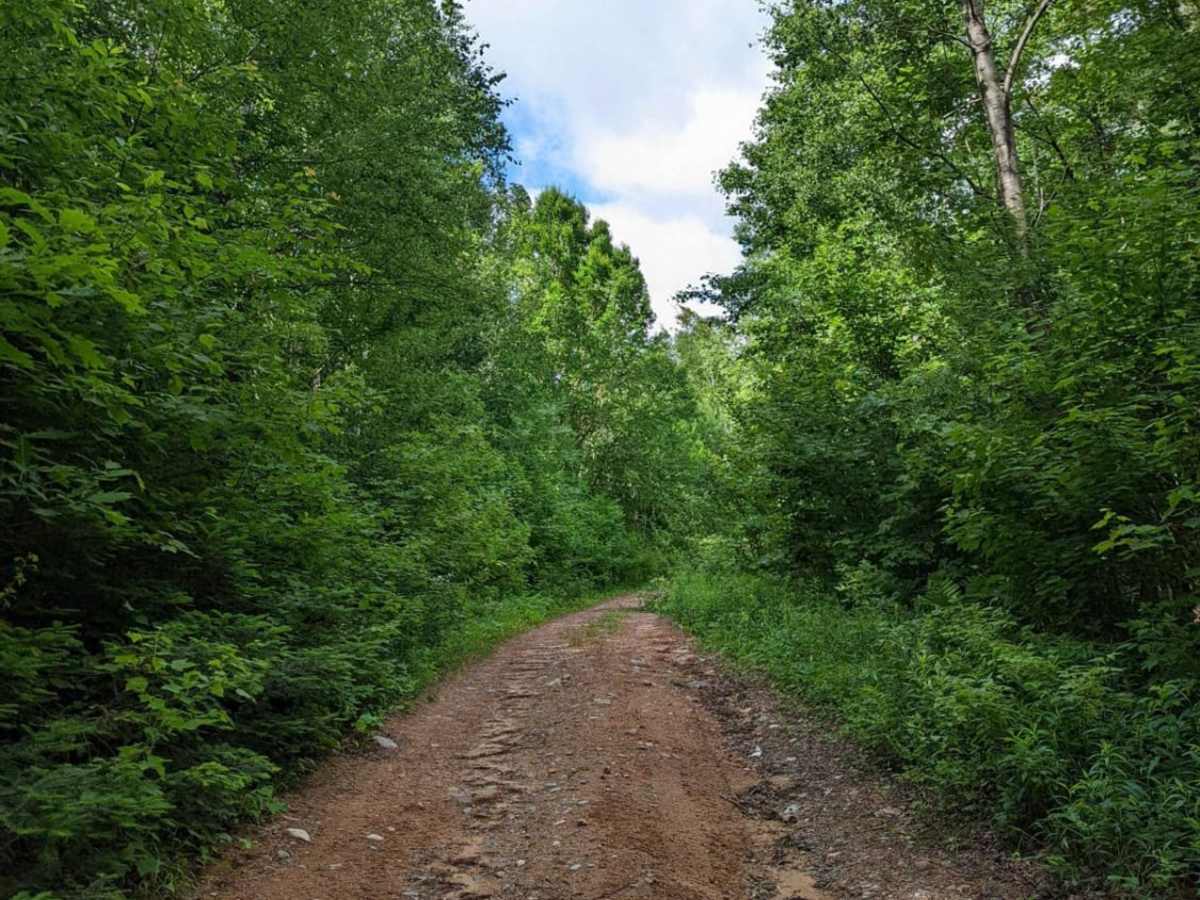 Nelson Fire Shortcut trail photo