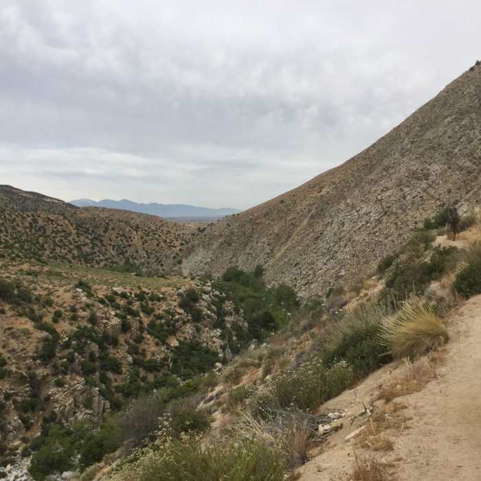 Near Deep Creek Loop