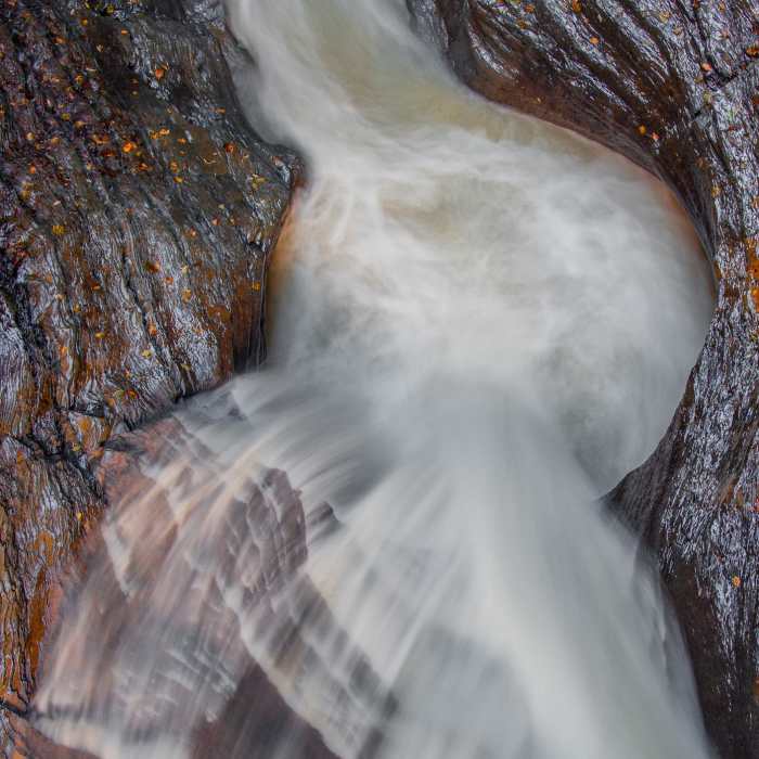 Near Gorge Trail Near Gorge Trail