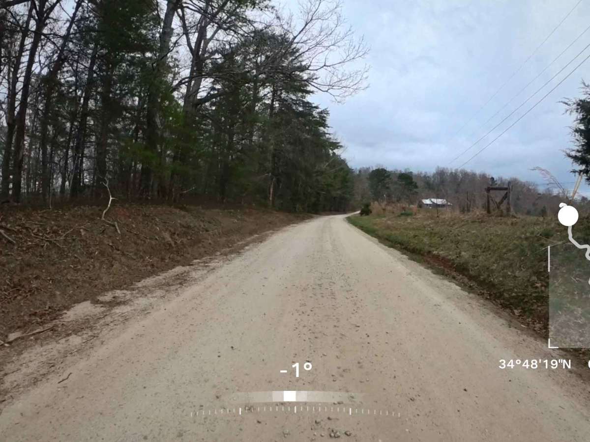 Deaden Timber Road - FS 825 photo 3