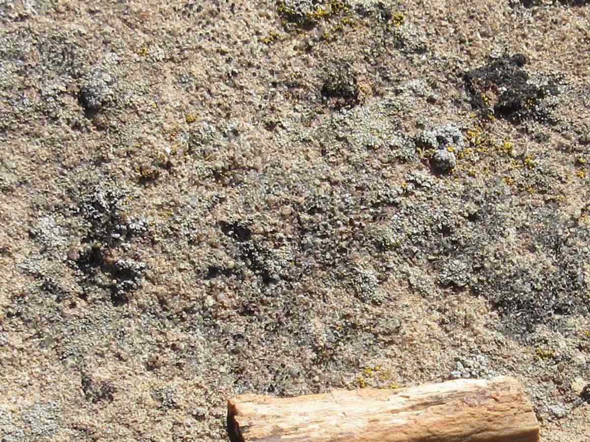 Little Creek Mesa photo 3
