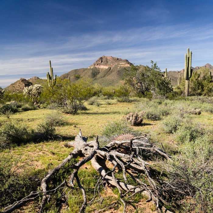 Near Usery Mountain Regional Park Southeast Trails Loop