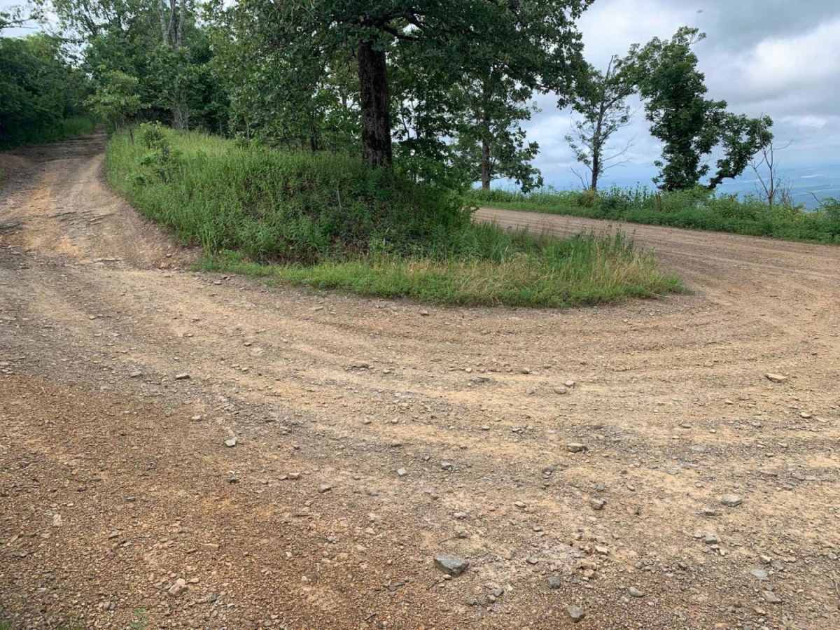Pilot Knob Mountain photo 6