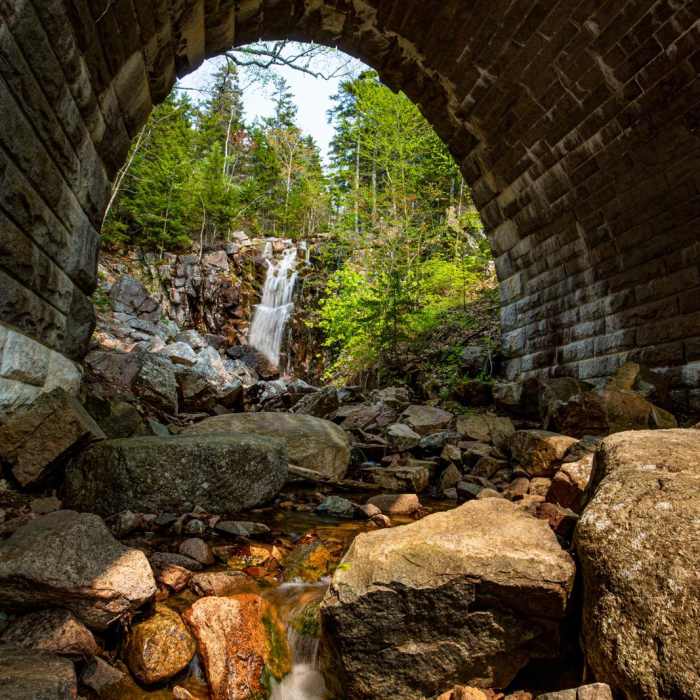 Near Hadlock + Waterfall + Hemlock Bridges Hike