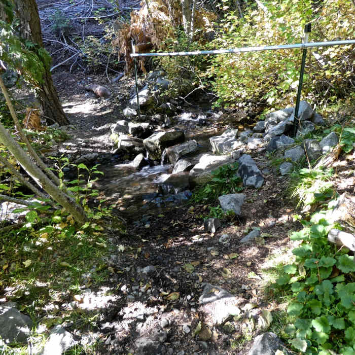 Near Discovery Trail