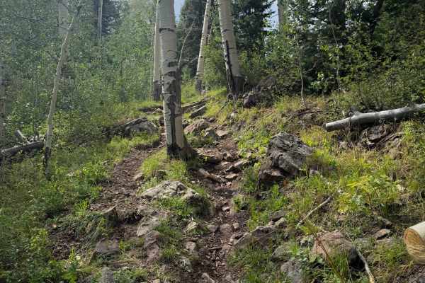West Twin Springs - Trail 739 